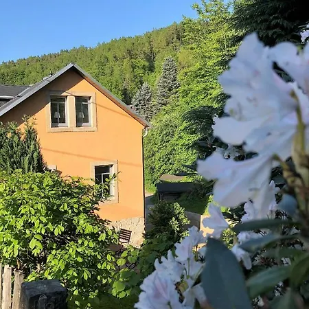 Adlerhorst Appartement